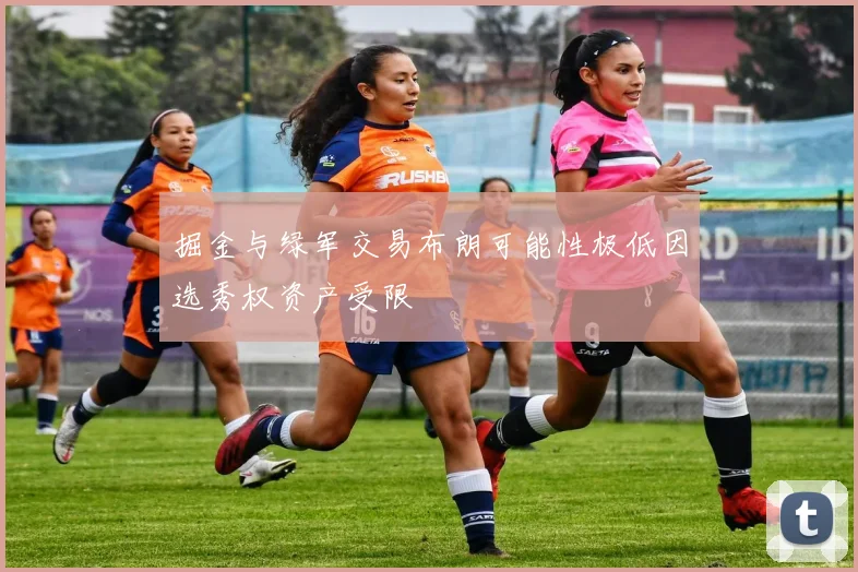 掘金与绿军交易布朗可能性极低因选秀权资产受限