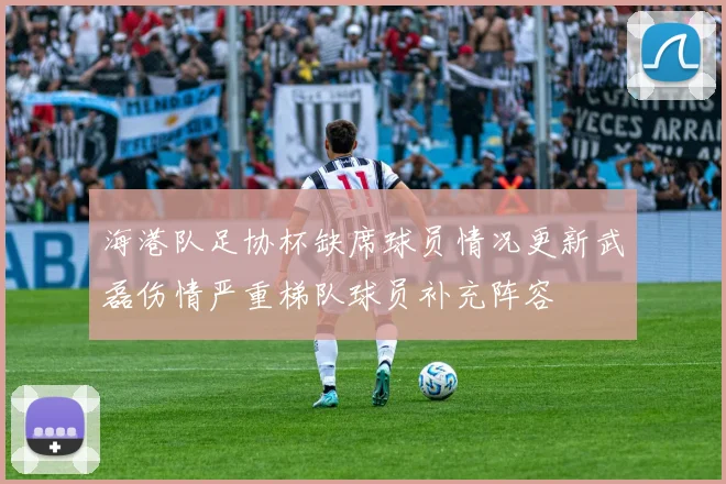 海港队足协杯缺席球员情况更新武磊伤情严重梯队球员补充阵容