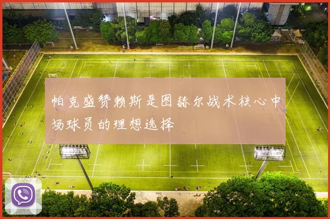 帕克盛赞赖斯是图赫尔战术核心中场球员的理想选择